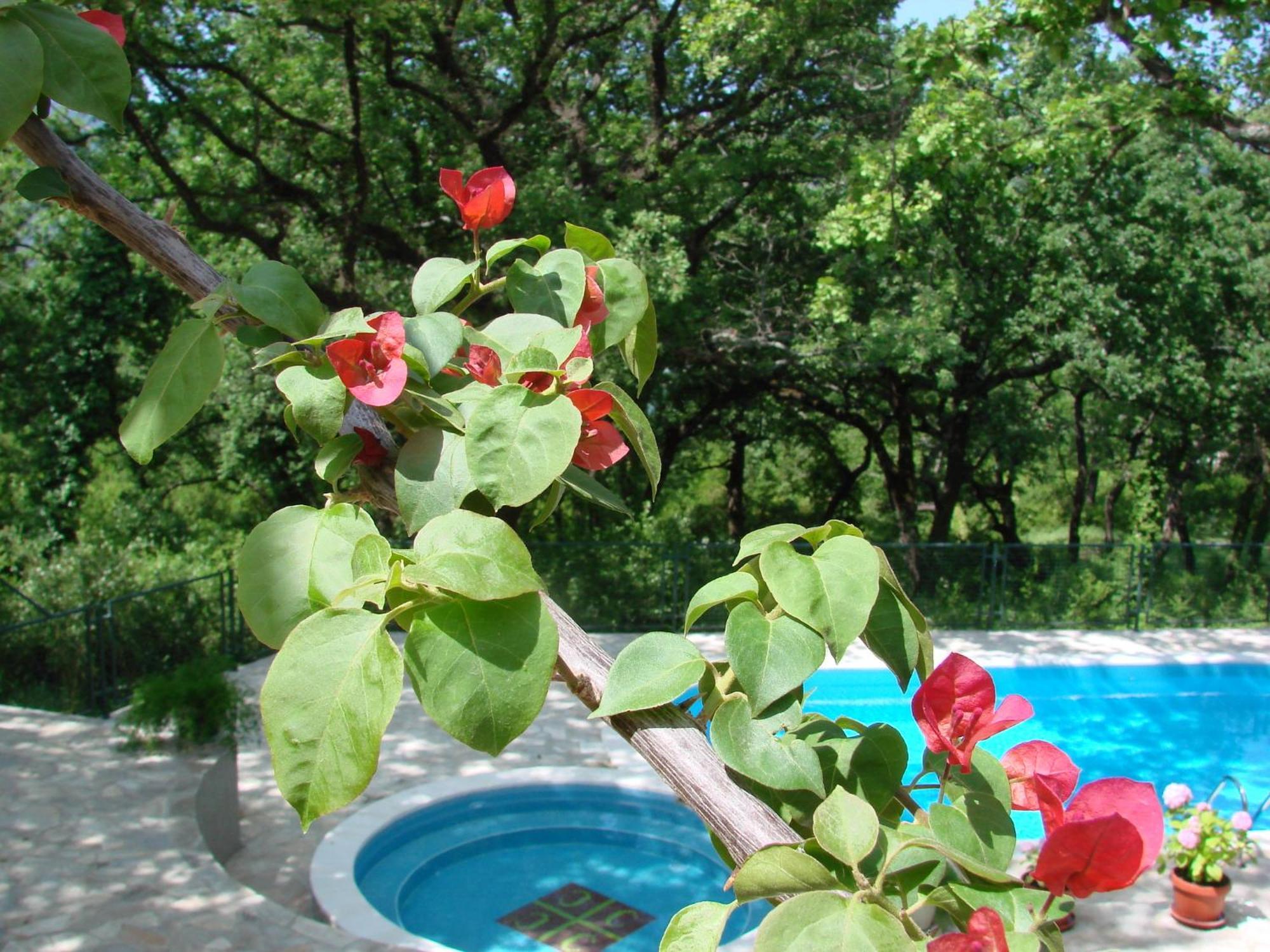 Poolside Apartments Miljan I Ranko Herceg Novi Esterno foto